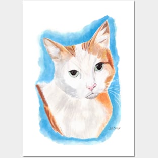 White and Ginger Cat Posters and Art